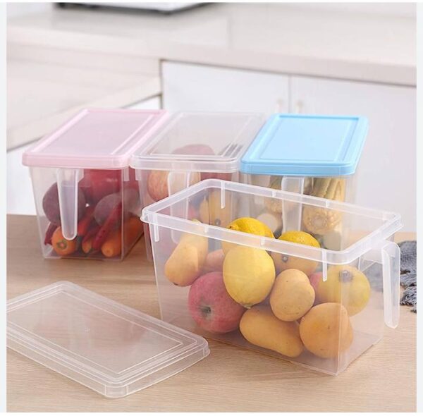 1pc Kitchen Fridge Storage Box For Fish Meat, With Lid, Plastic